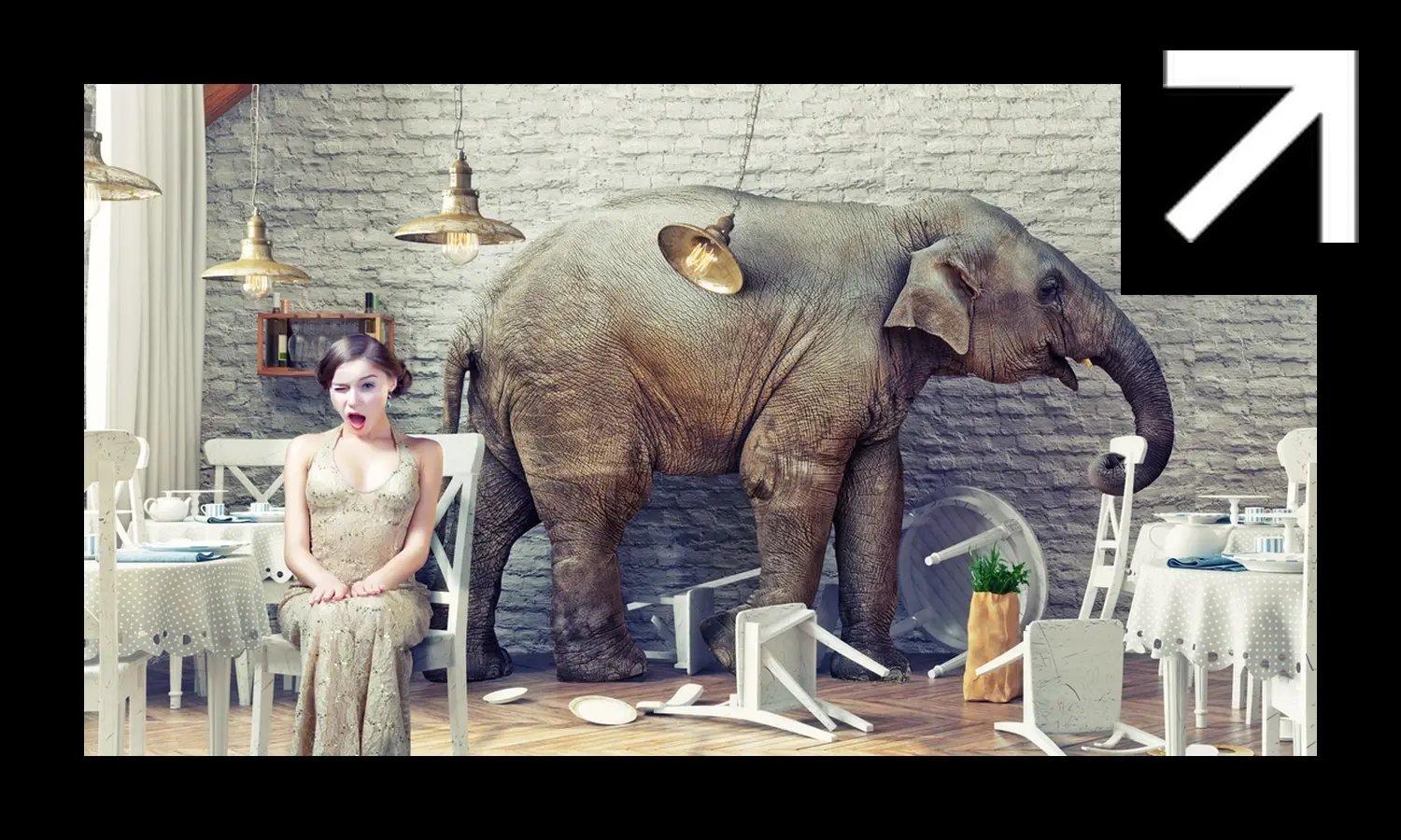 Security Theatre We All Pretend Works